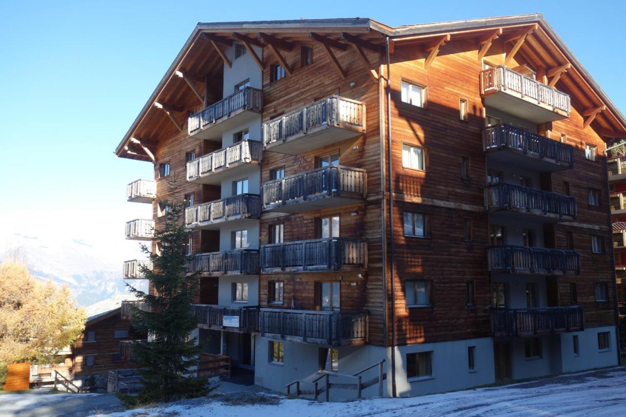 Pracondu Outdoor & Fun Appartement 2 Chambres Superieur Avec Balcon Nendaz Exteriör bild