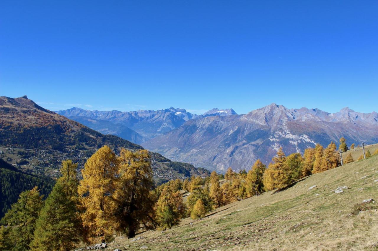 Pracondu Outdoor & Fun Appartement 2 Chambres Superieur Avec Balcon Nendaz Exteriör bild