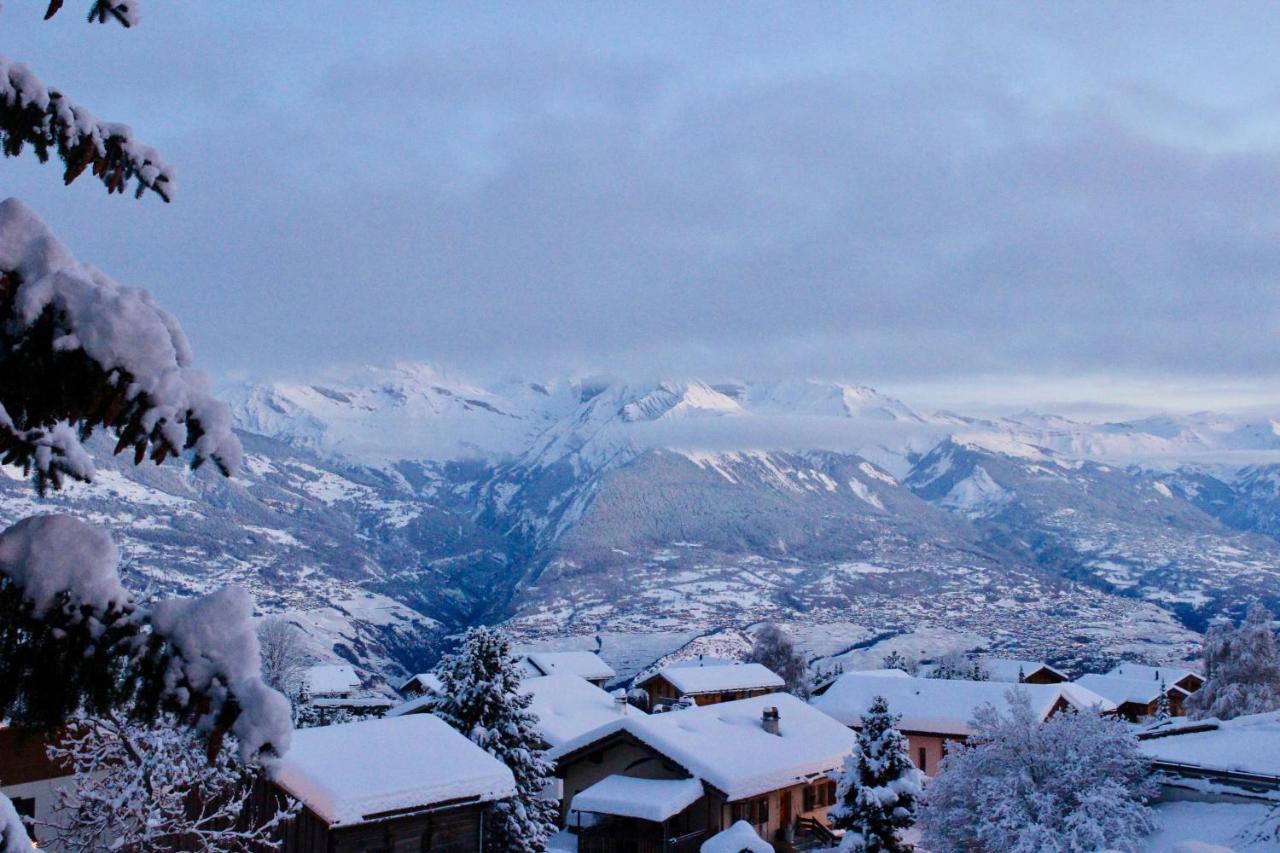 Pracondu Outdoor & Fun Appartement 2 Chambres Superieur Avec Balcon Nendaz Exteriör bild